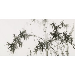Ink Bamboo - CNAG003464