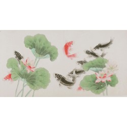Fish - CNAG003467