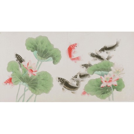 Fish - CNAG003467