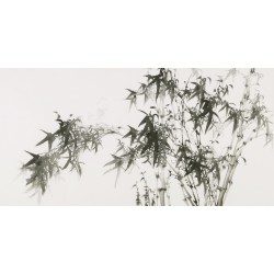Ink Bamboo - CNAG003475