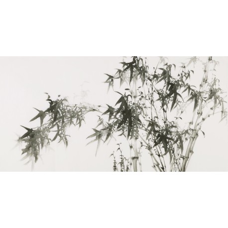 Ink Bamboo - CNAG003475