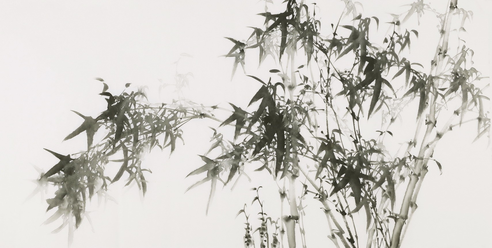 Ink Bamboo - CNAG003475
