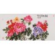 Peony - CNAG003484