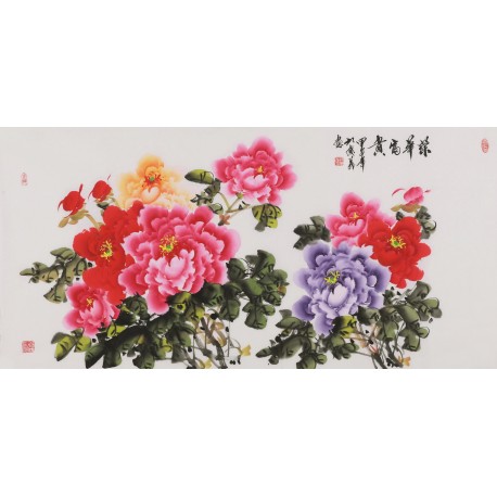 Peony - CNAG003484
