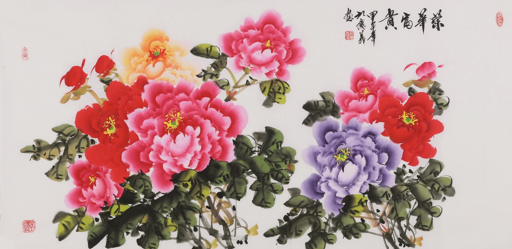 Peony - CNAG003484