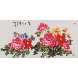 Peony - CNAG003485