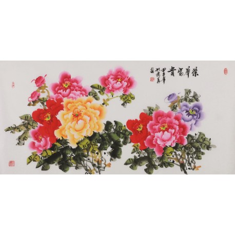 Peony - CNAG003486