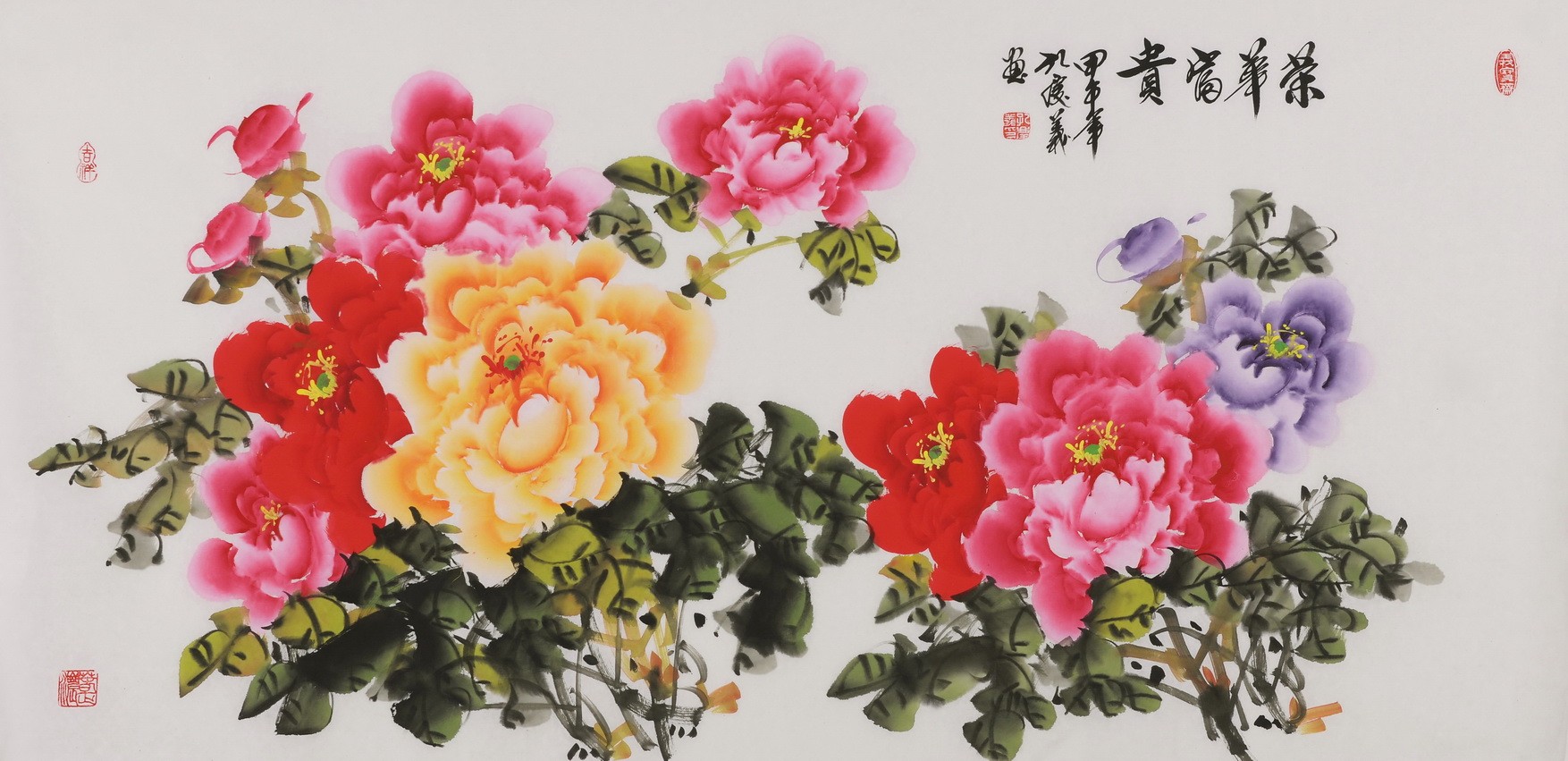 Peony - CNAG003486