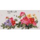 Peony - CNAG003487