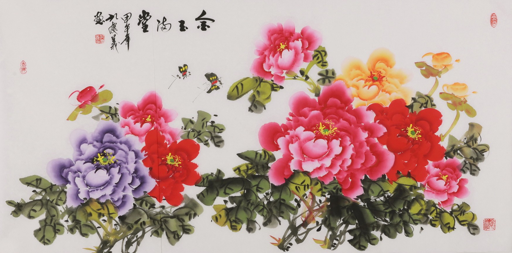 Peony - CNAG003487