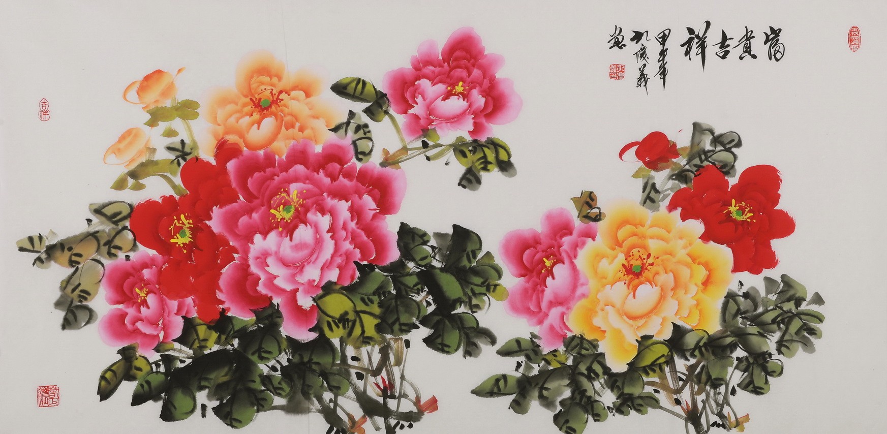 Peony - CNAG003489