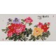 Peony - CNAG003491