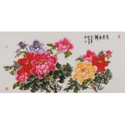 Peony - CNAG003491