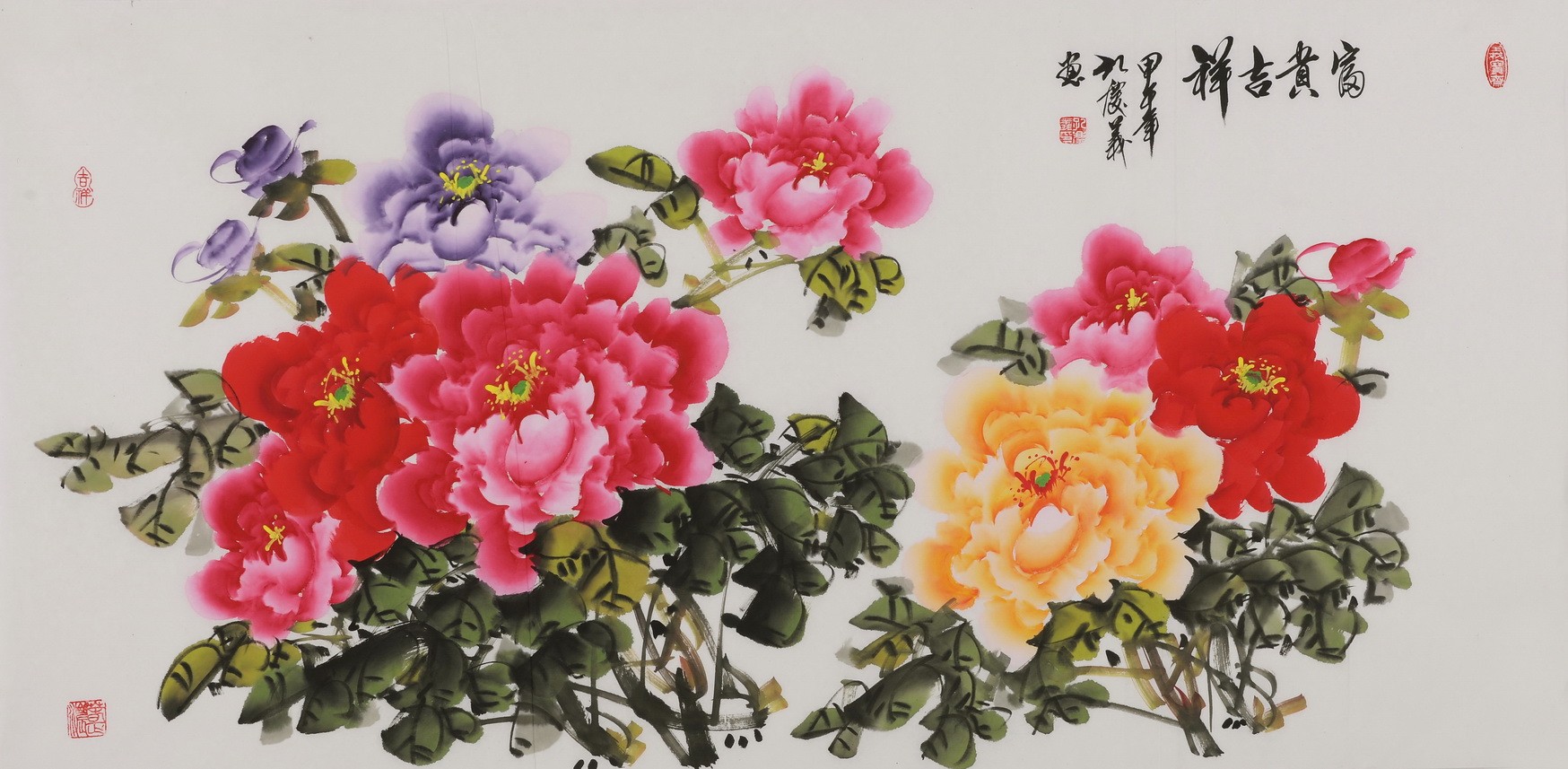 Peony - CNAG003491