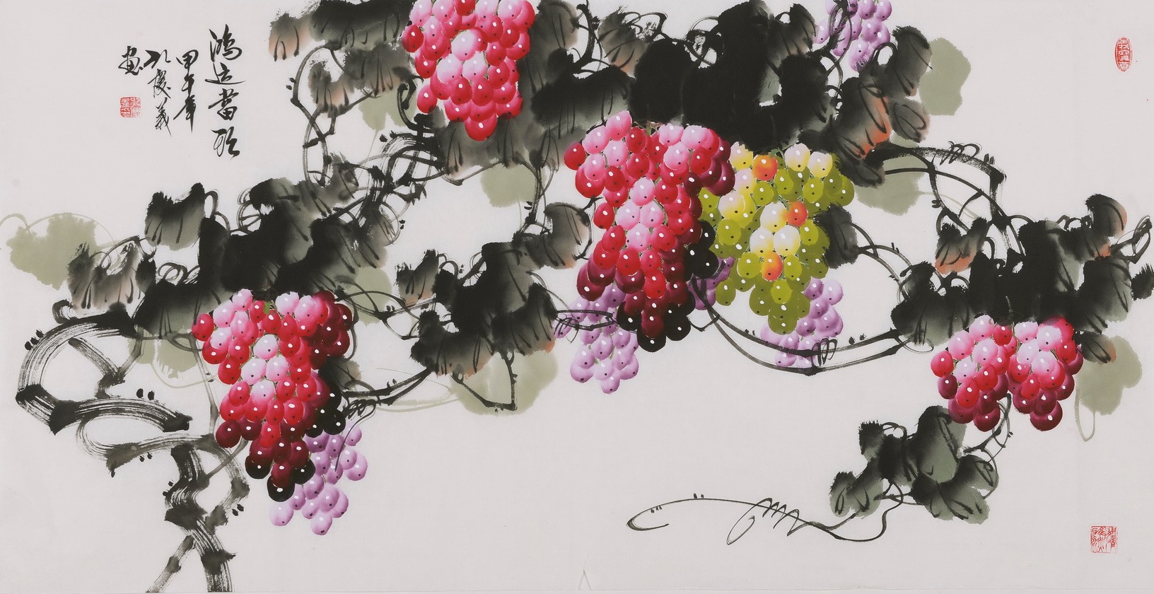 Grapes - CNAG003494
