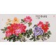 Peony - CNAG003496