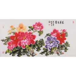 Peony - CNAG003496