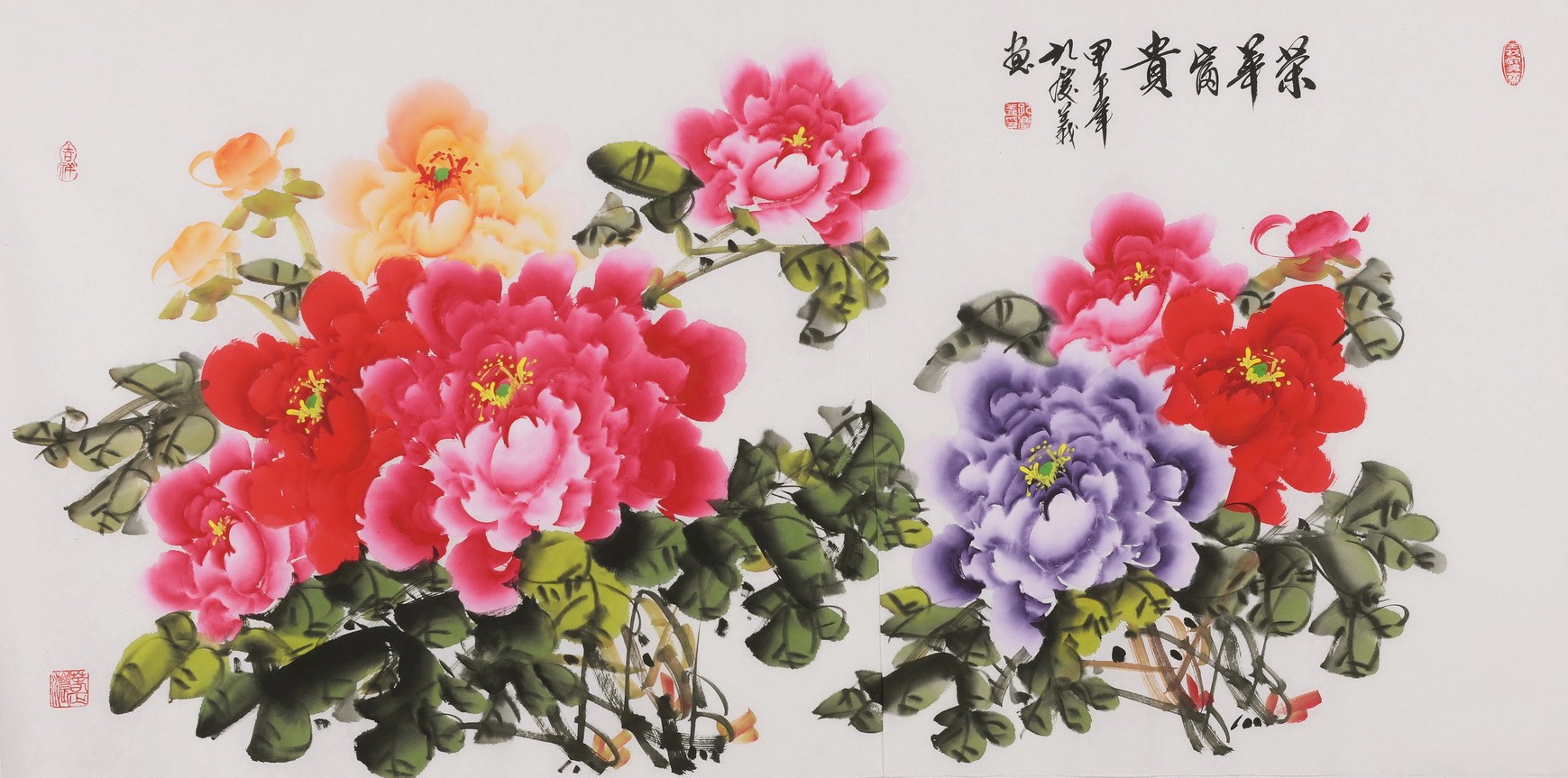 Peony - CNAG003496