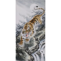 Tiger - CNAG000035