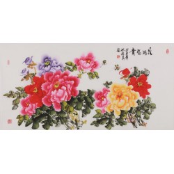 Peony - CNAG003498