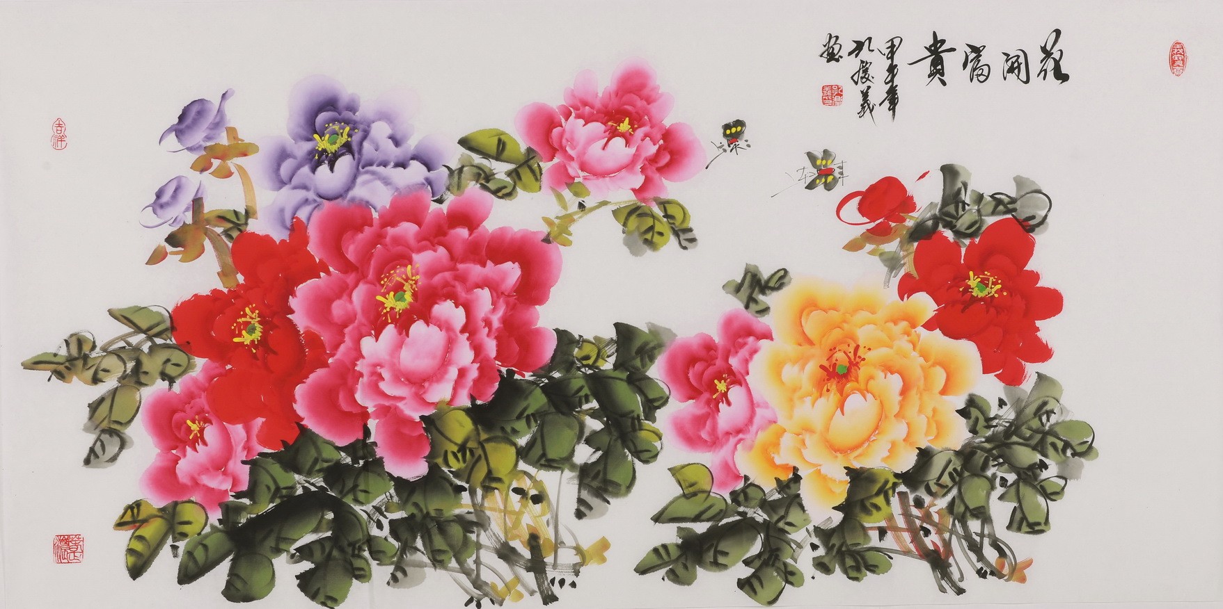 Peony - CNAG003498