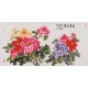 Peony - CNAG003499