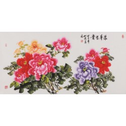 Peony - CNAG003499