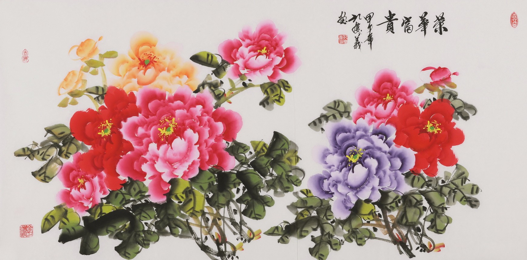 Peony - CNAG003499