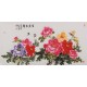 Peony - CNAG003505