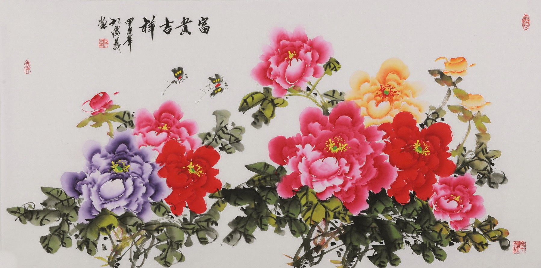 Peony - CNAG003505