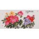 Peony - CNAG003506