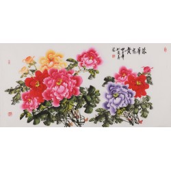 Peony - CNAG003506