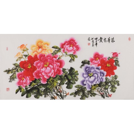 Peony - CNAG003506