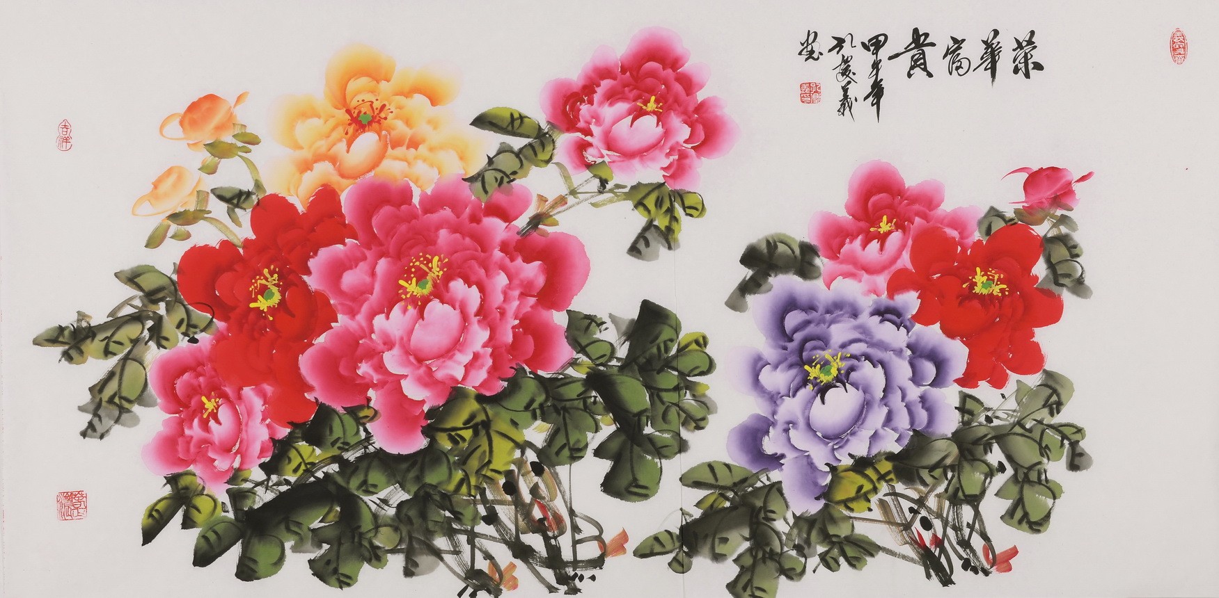Peony - CNAG003506