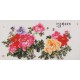 Peony - CNAG003507