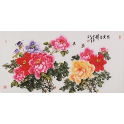 Peony - CNAG003507