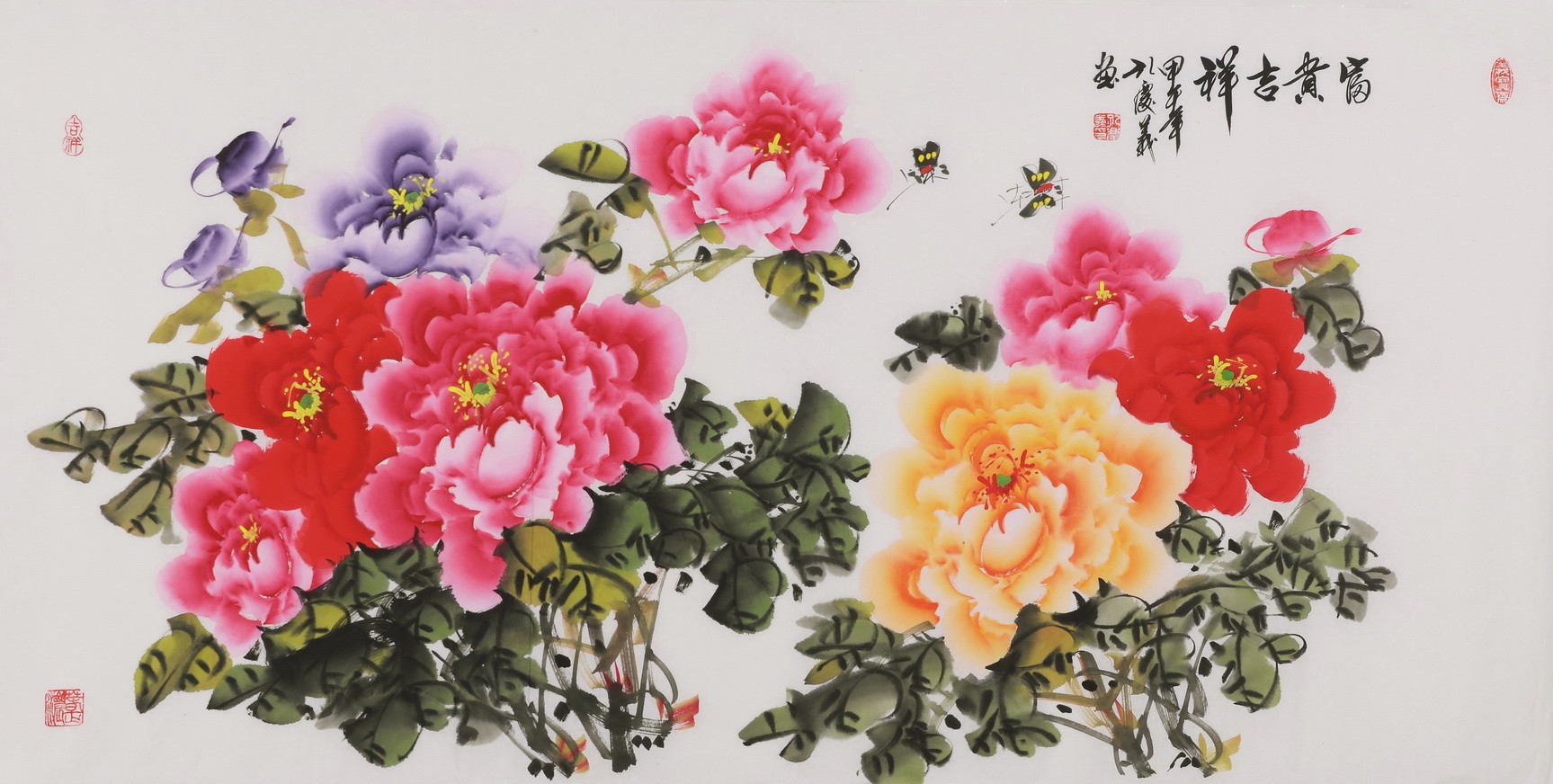 Peony - CNAG003507