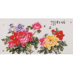 Peony - CNAG003508