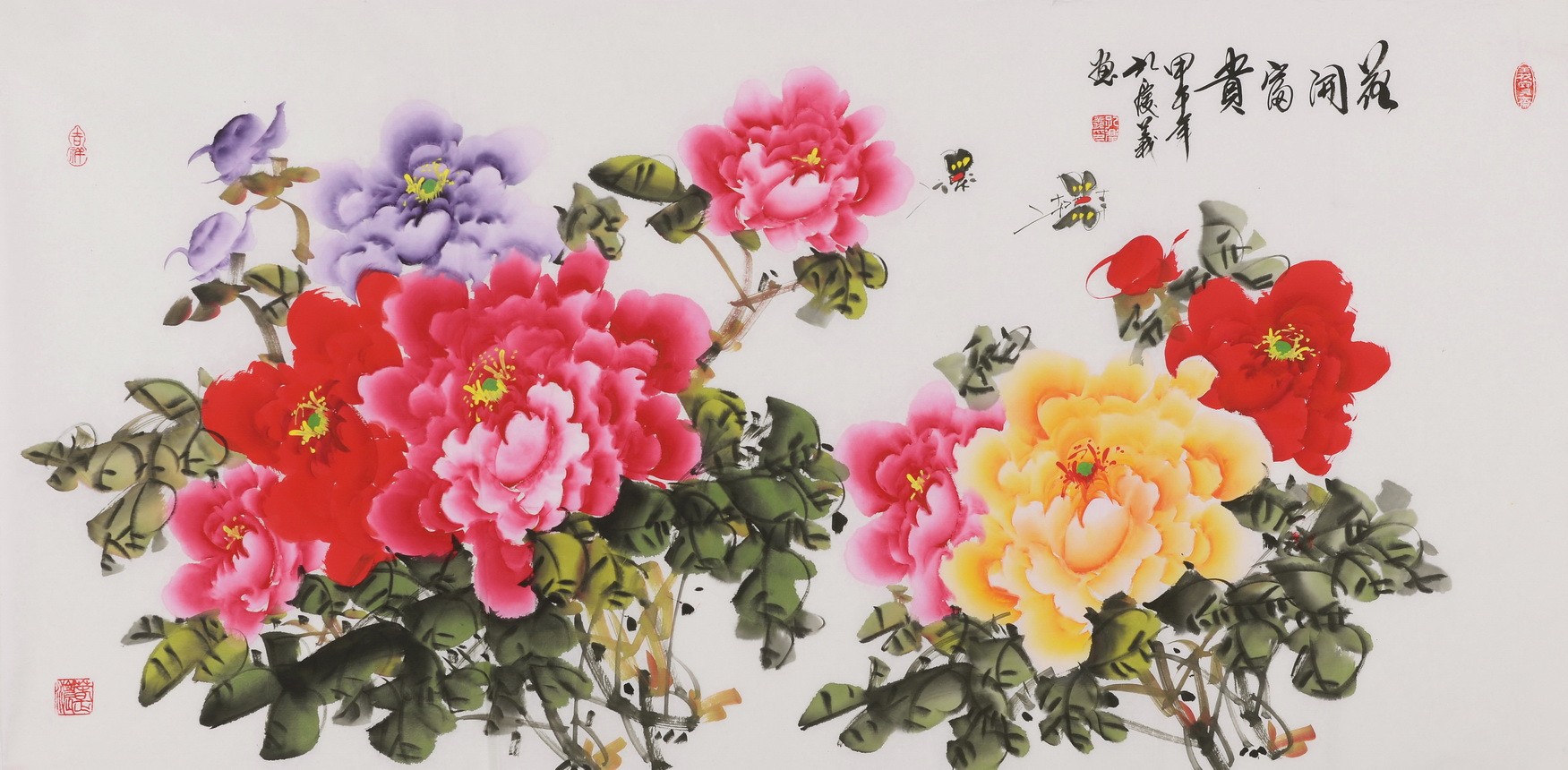 Peony - CNAG003508