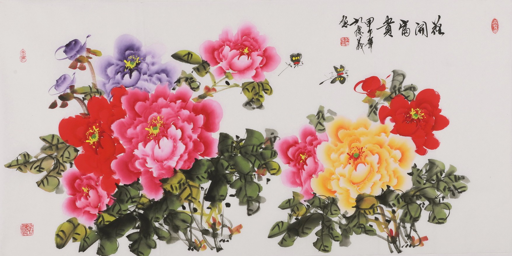 Peony - CNAG003510