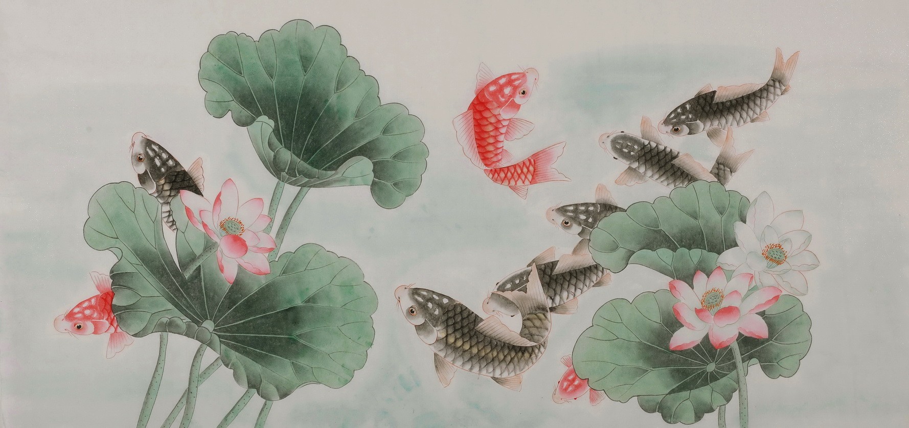 Fish - CNAG003514