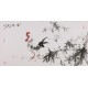 Chicken - CNAG003528