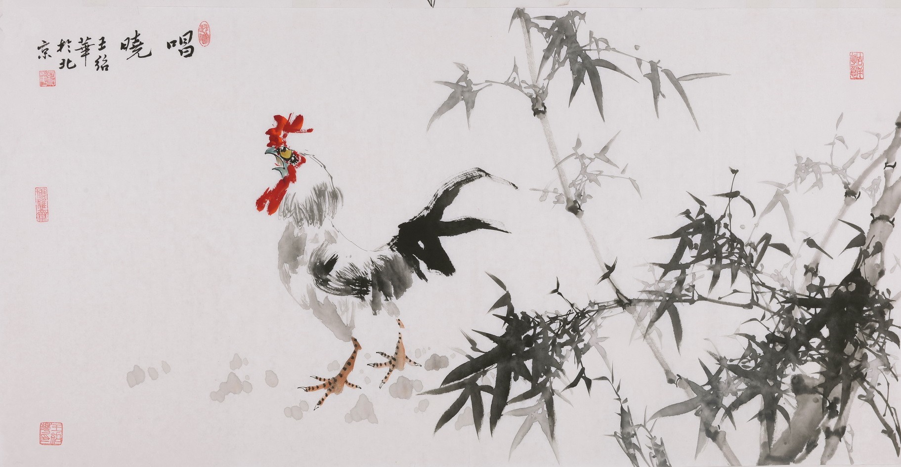 Chicken - CNAG003528