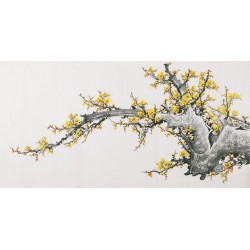 Plum - CNAG003541