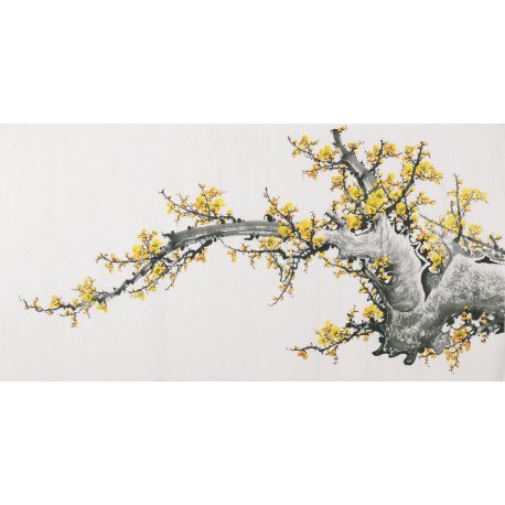 Plum - CNAG003541
