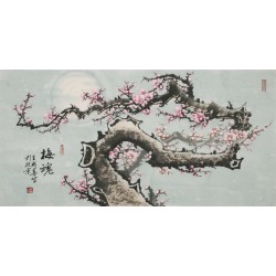 Plum - CNAG003553