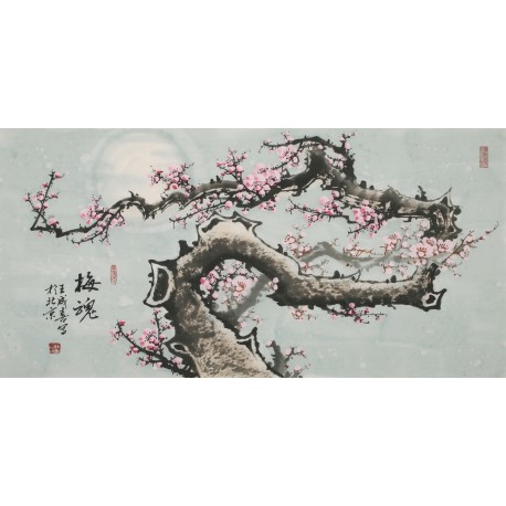 Plum - CNAG003553
