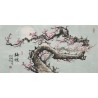 Plum - CNAG003553