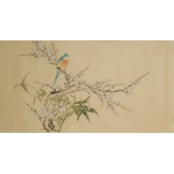 Paradise Flycatcher - CNAG003560