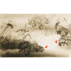 Lotus - CNAG003571